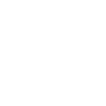 City of Nitro White Logo