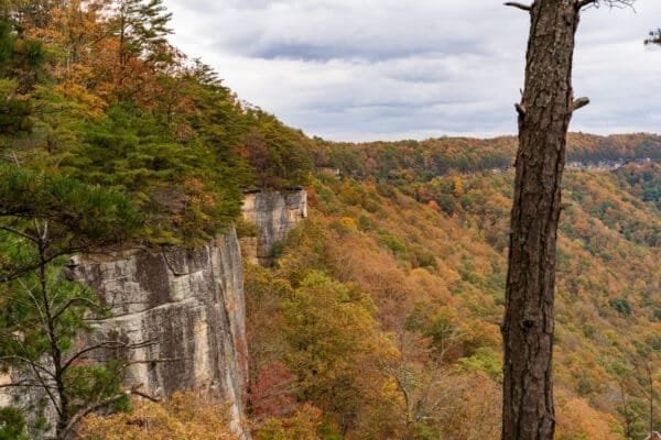 A scenic overlook of a cliff surrounded by autumn foliage, with vibrant colors and a peaceful forest landscape.