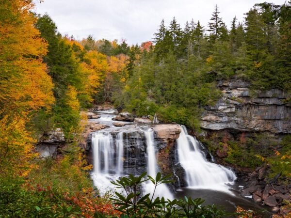 Blackwater Falls in West Virginia cascading down rocky cliffs, framed by vibrant autumn foliage in a forest.