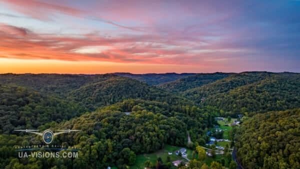 An aerial view captures a dense forest bathed in the warm glow of a sunset. The landscape showcases a rich tapestry of trees reaching towards the horizon, offering a tranquil and breathtaking vista.