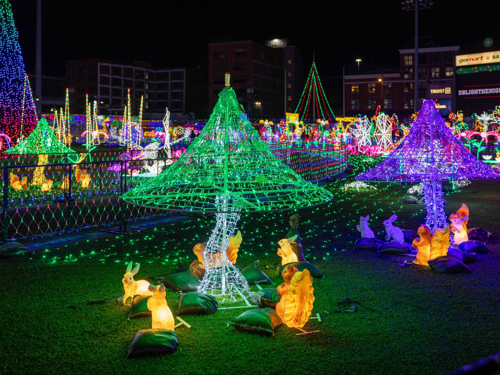 Charleston's Festive Forest Comes Alive Vivid holiday light decorations of trees and deer at the Charleston Light the Night event.