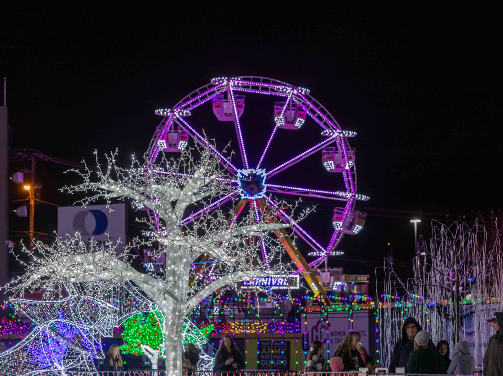 Soaring Spirits: Charleston's Ferris Wheel in Holiday Lights Illuminated Ferris wheel and festive tree against the night sky, captured by UA-Visions at Charleston event.