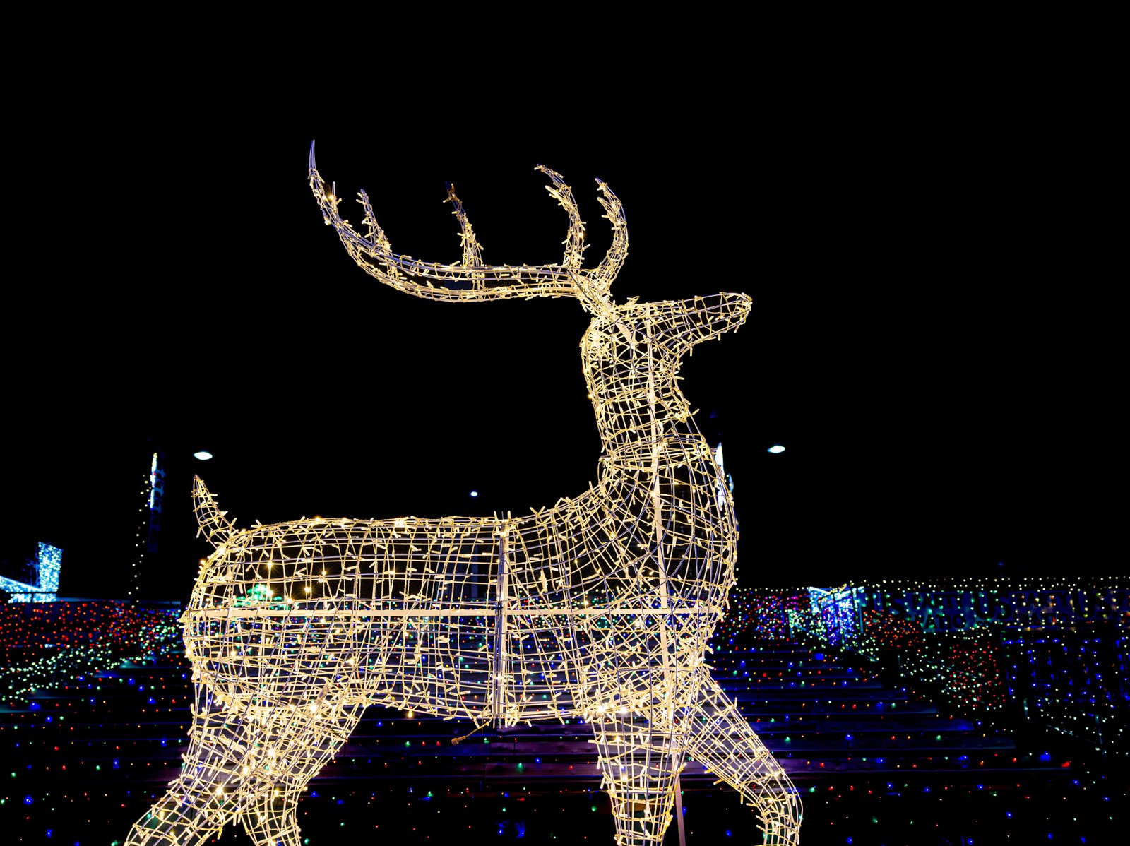 A Deer in Lights: Charleston's Holiday Sculpture A glowing holiday light sculpture of a deer against Charleston's night sky, by UA-Visions.